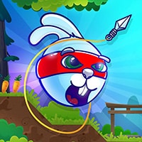 Rabbit Samurai