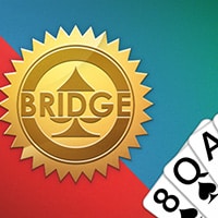 Bridge Card Game