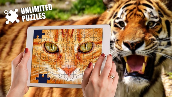 Unlimited Jigsaw Puzzles Game Play at RoundGames Unlimited Jigsaw Puzzles Game Play at RoundGames