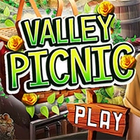 Valley Picnic