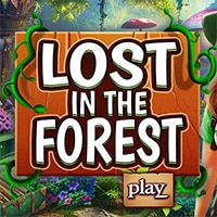 Lost in the Forest