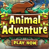 Animal Adventure