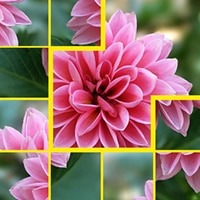 Assemble the Picture: Puzzle