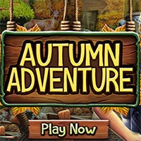 Autumn Adventure