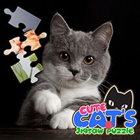 Cute Cats: Jigsaw Puzzle