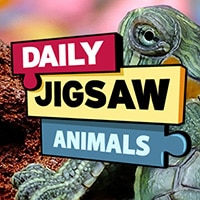 Daily Jigsaw: Animals