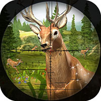 Deer Hunter