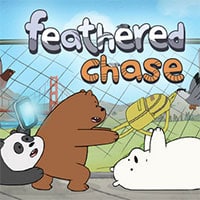 Feathered Chase