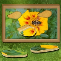 Find and Restore: Hidden Puzzle