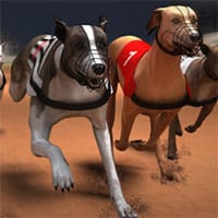 Greyhound Racing