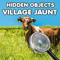 Hidden Objects Village Jaunt