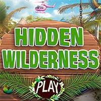 Hidden Wilderness