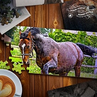 Jigsaw Puzzle: Horses Edition