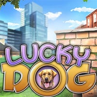 Lucky Dog
