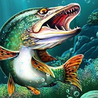 LetS-Fish LetS-Fish