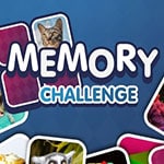 Memory Challenge