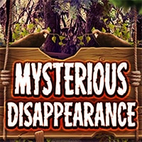 Mysterious Disappearance