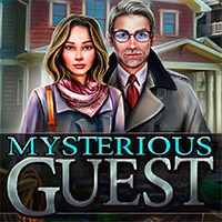 Mysterious Guest