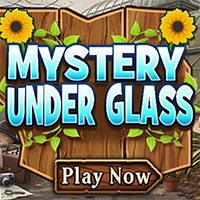 Mystery Under Glass