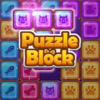 Puzzle Block