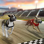 Real Dog Racing Simulator