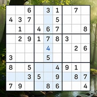 Relaxing Sudoku: Take a Break from the Bustle