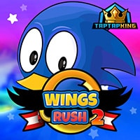 Sonic Wings Rush 2