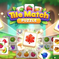 Tile Match Puzzle