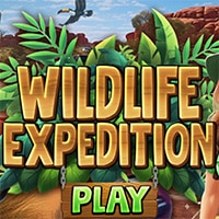 Wildlife Expedition
